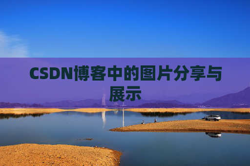 CSDN博客中的图片分享与展示